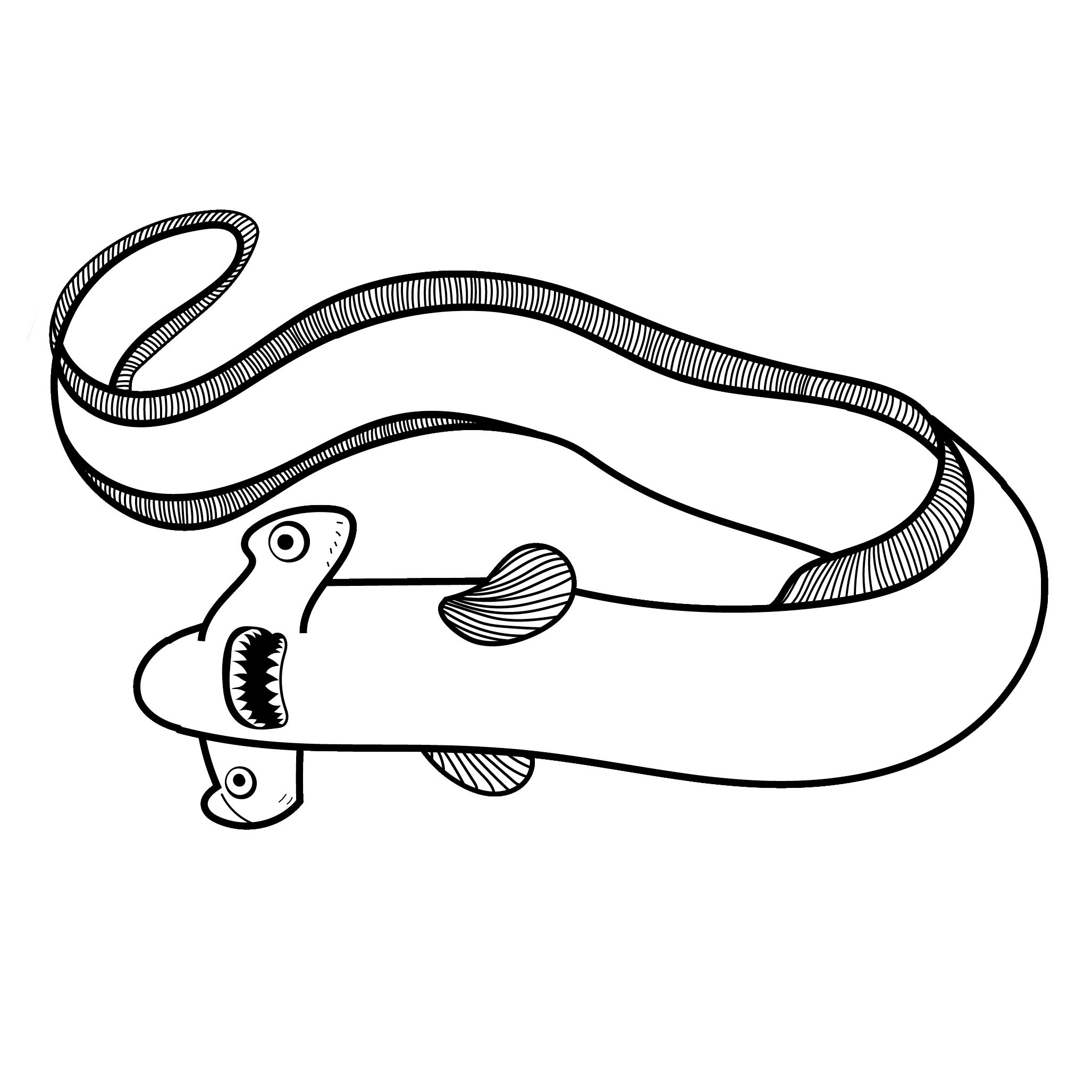 Hammerkopfaal e.V.